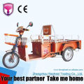 tricycles for 2 year olds passenger cargo type